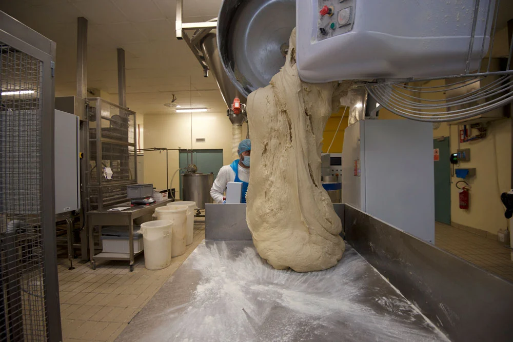 Artisan Dough Being Processed